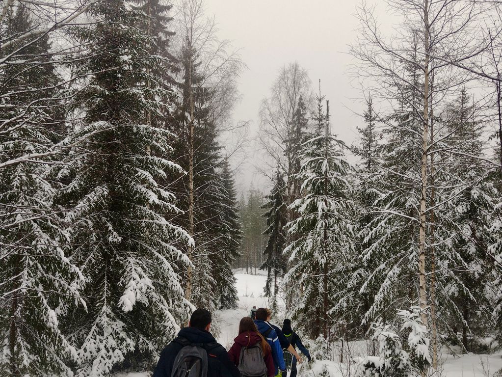 Sneeuwschoenentocht groepsreis Zweden